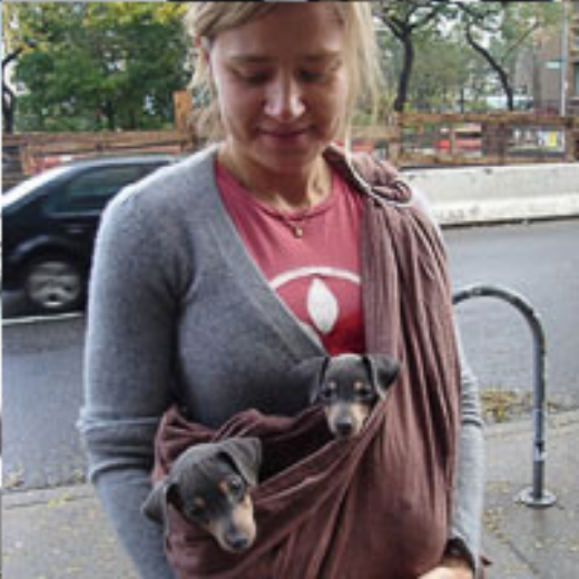 ブラウンのスリングに子犬を2匹入れて抱く女性